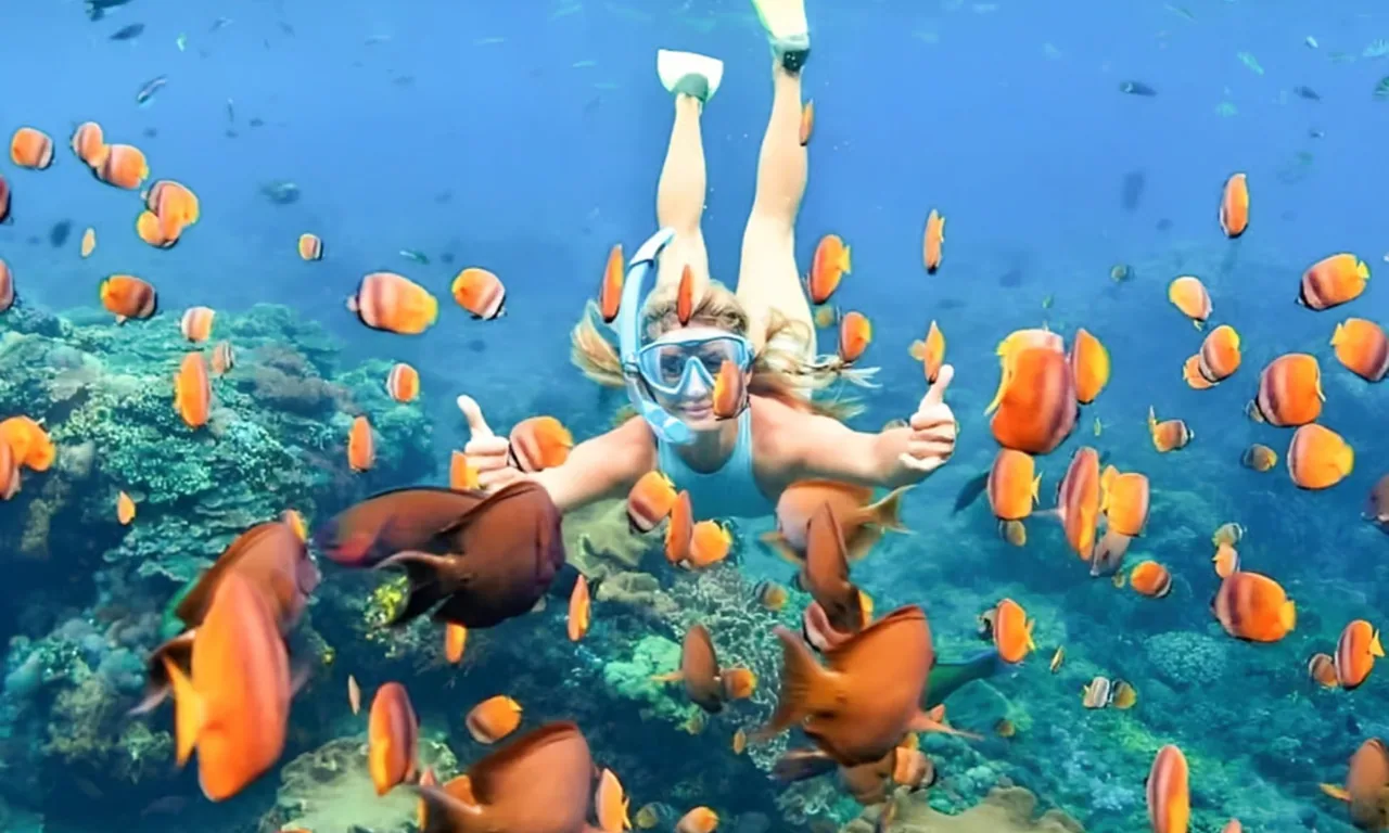 Snorkel en Blue Lagoon y Tanjung Jepun