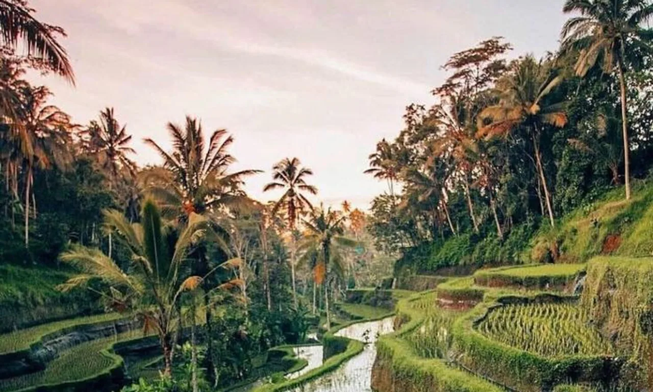Diversión y Lifestyle en Ubud