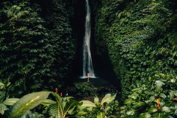 Leke Leke jungle waterfall cascade