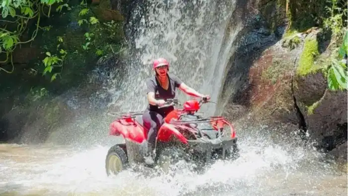 ATV por bosque de bambú