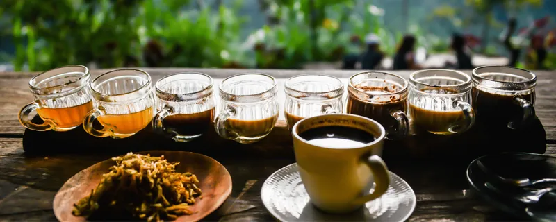 Degustación en plantación de café de Bali
