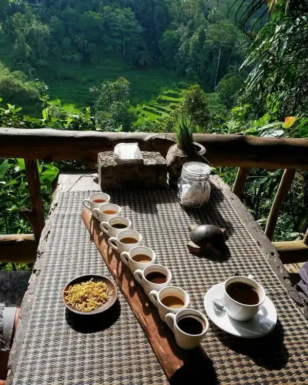 Vista escénica de viaje a Bali