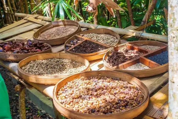 Ambiente selvático Cretya Ubud