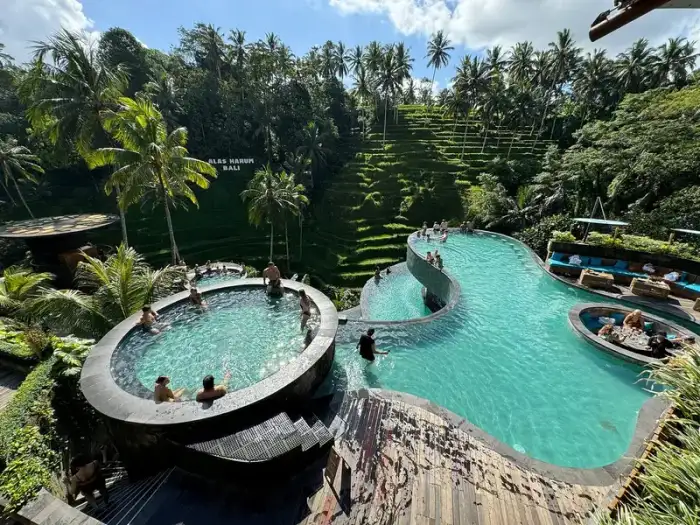 Experiencia de degustación de café