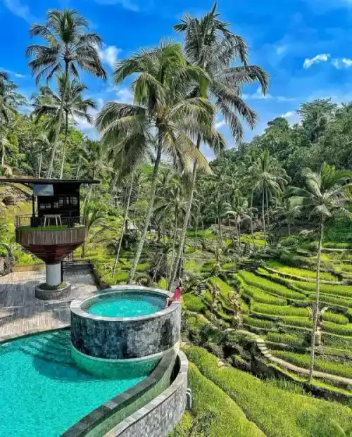 Piscina infinita Cretya Ubud