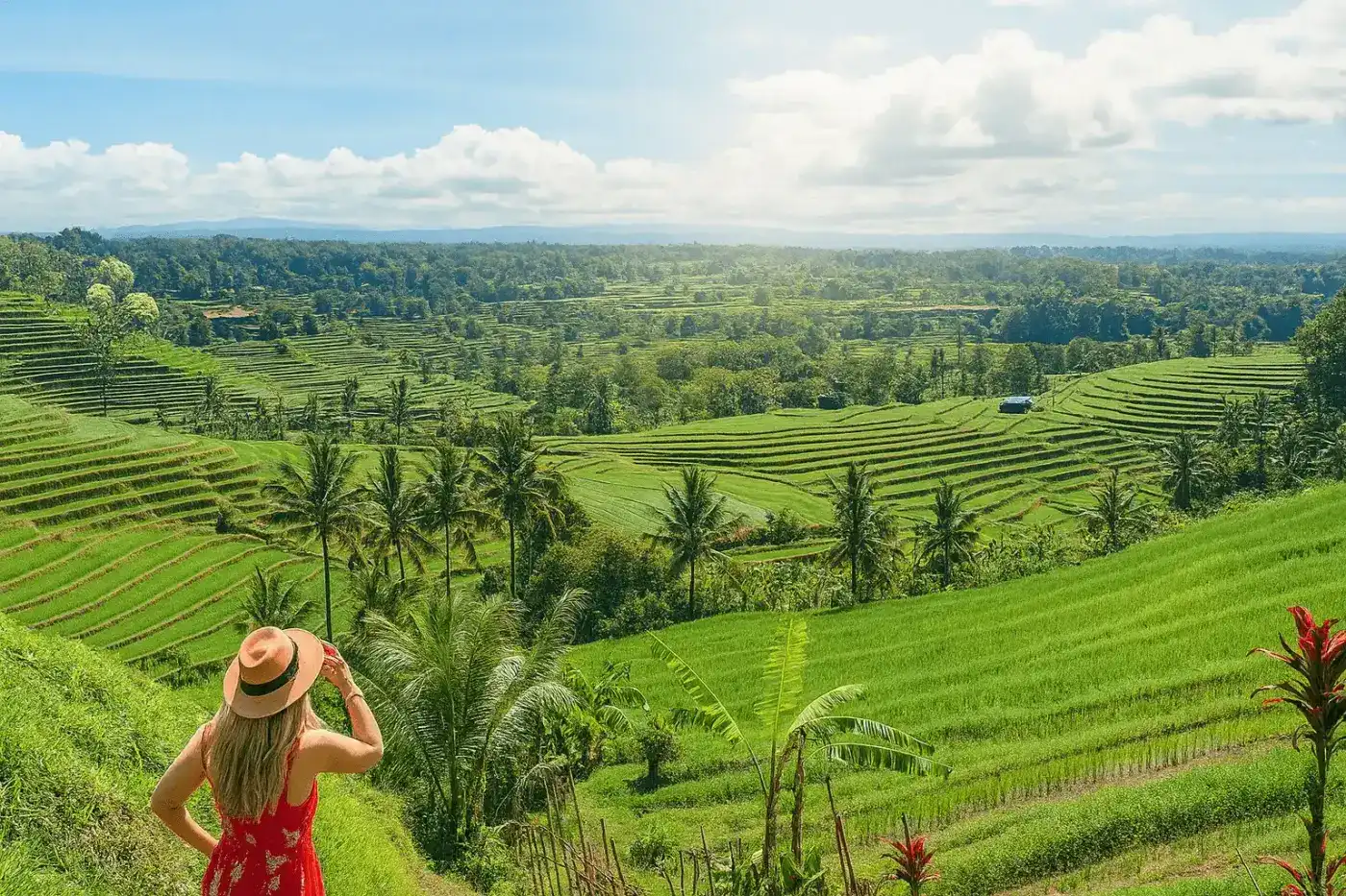 West Bali — wide cinematic landscape