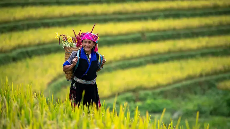 Vegetación tropical