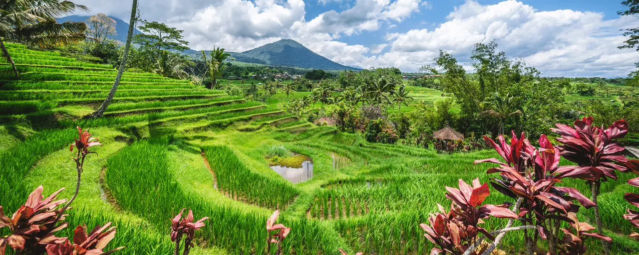 Terrazas de arroz Jatiluwih, Patrimonio UNESCO