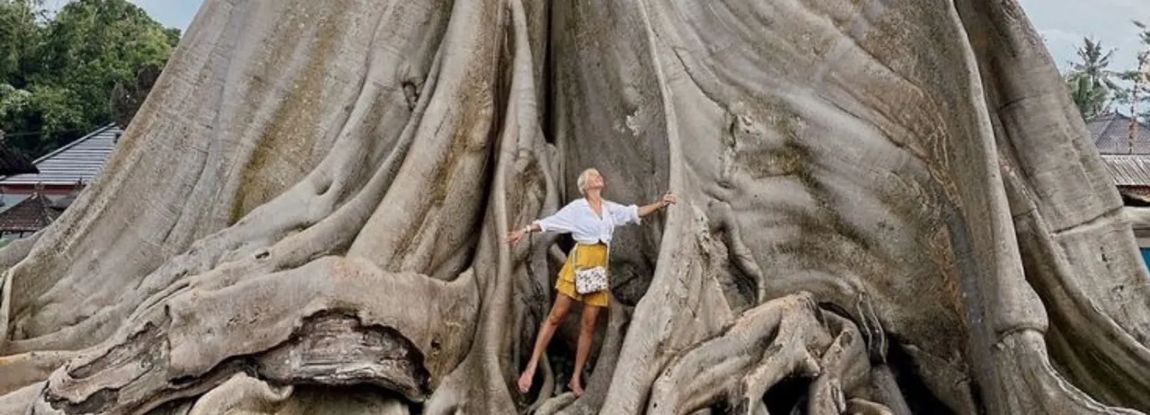 Árbol Bayan de 700 años en Bali