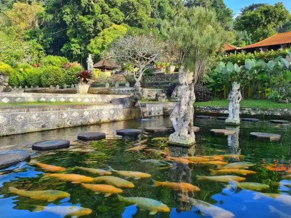 Sendero del jardín acuático real