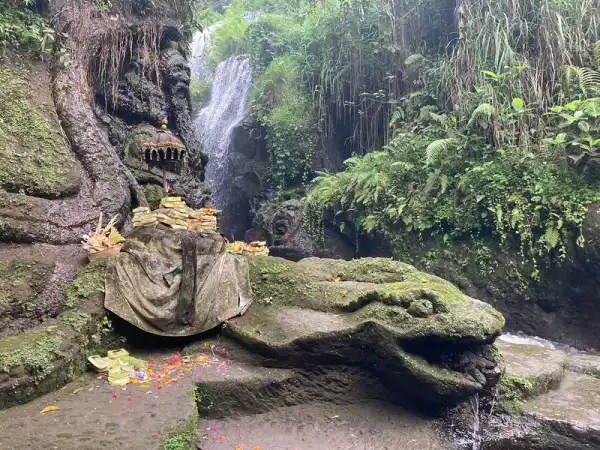 Viaje Espiritual en Ubud — foto 29