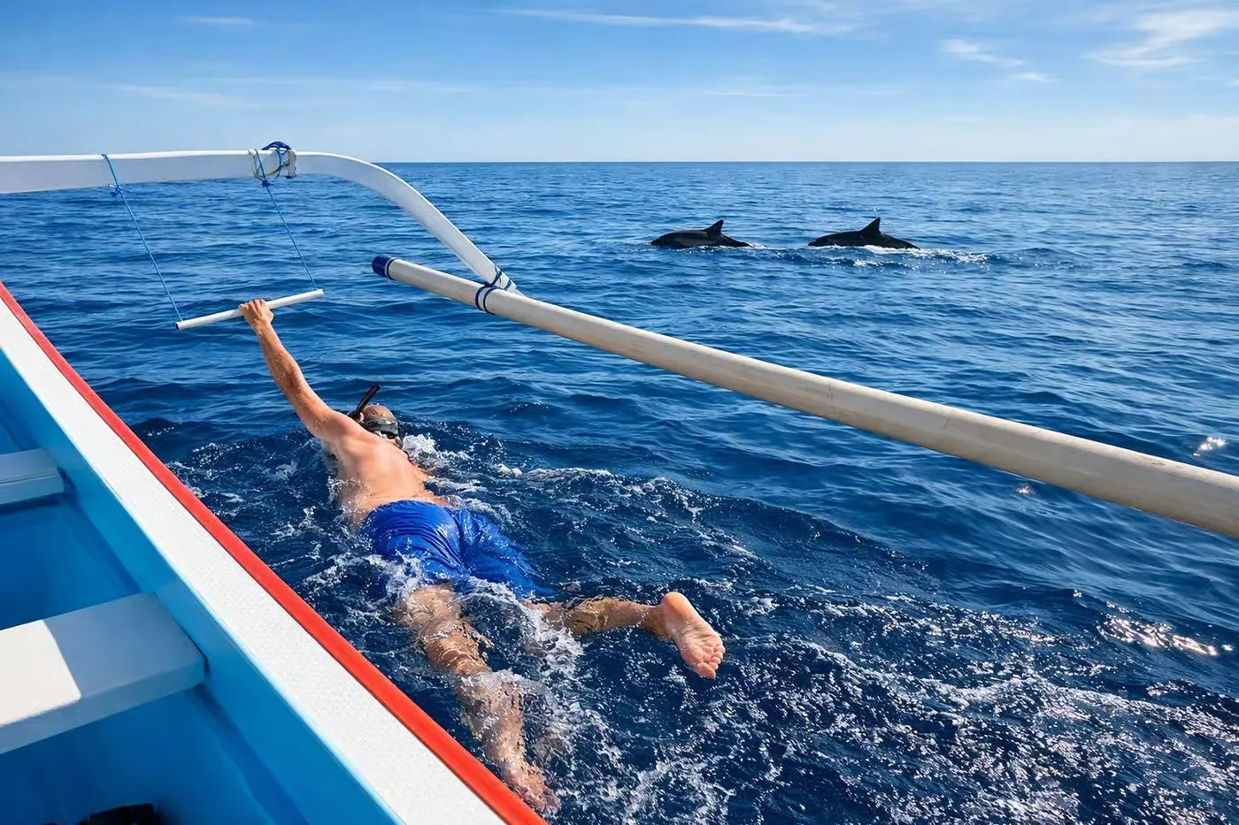 Delfines salvajes y barco privado en Lovina, Bali 1