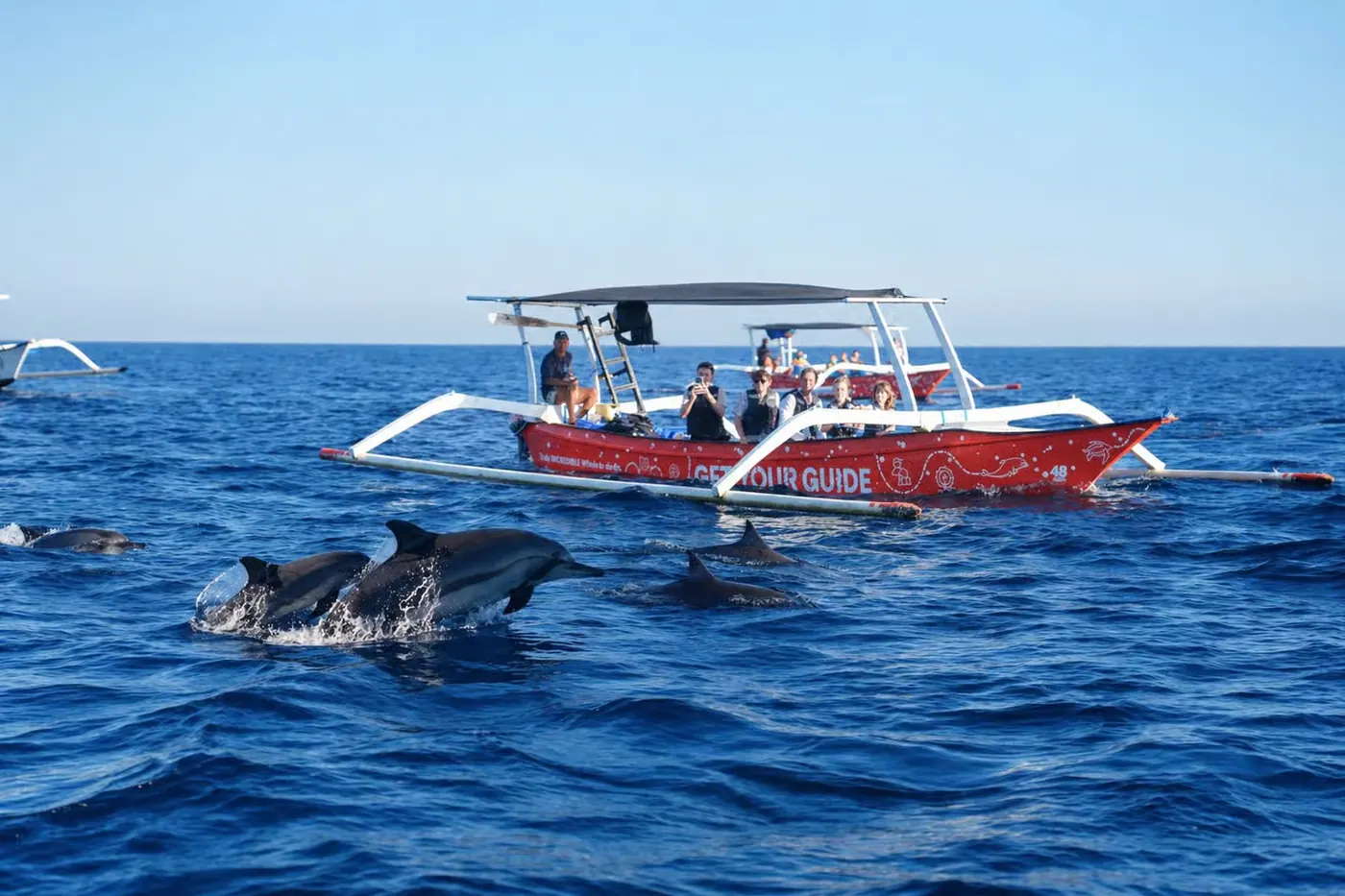 Delfines salvajes y barco privado en Lovina, Bali 5