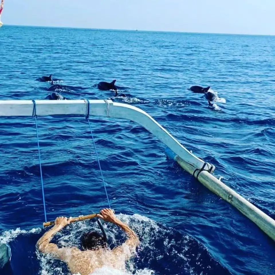 Delfines salvajes y barco privado en Lovina, Bali 6