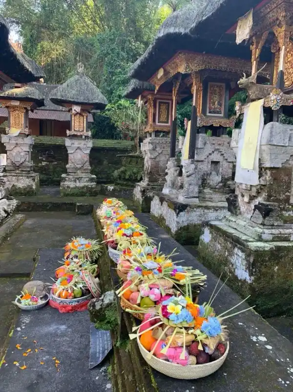 Lo mejor de Ubud en un día 10