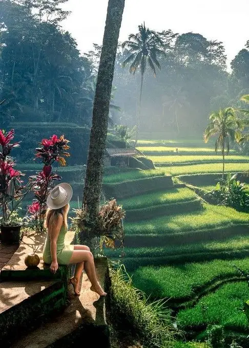 Lo mejor de Ubud en un día 15