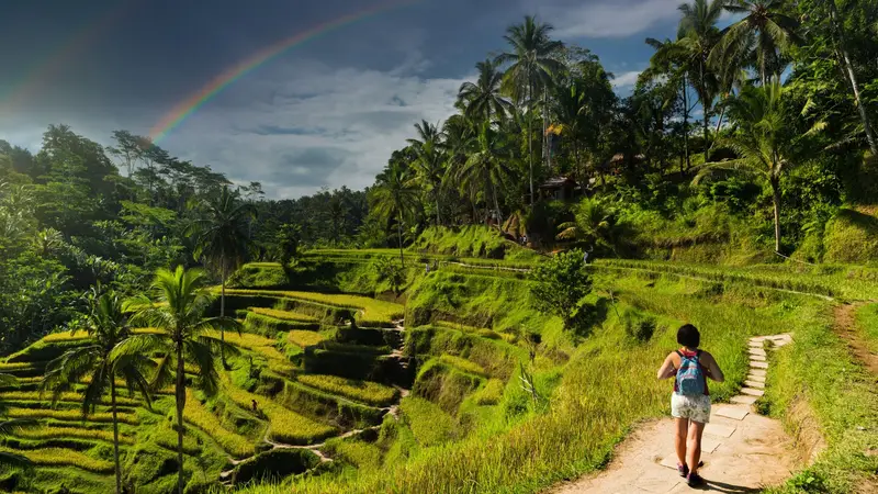 Lo mejor de Ubud en un día 16