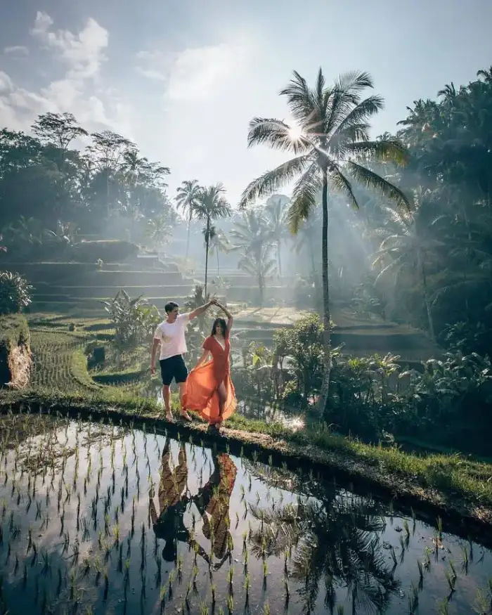 Lo mejor de Ubud en un día 17