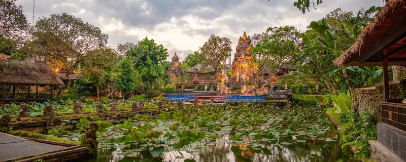 Estanques de loto del Templo Saraswati
