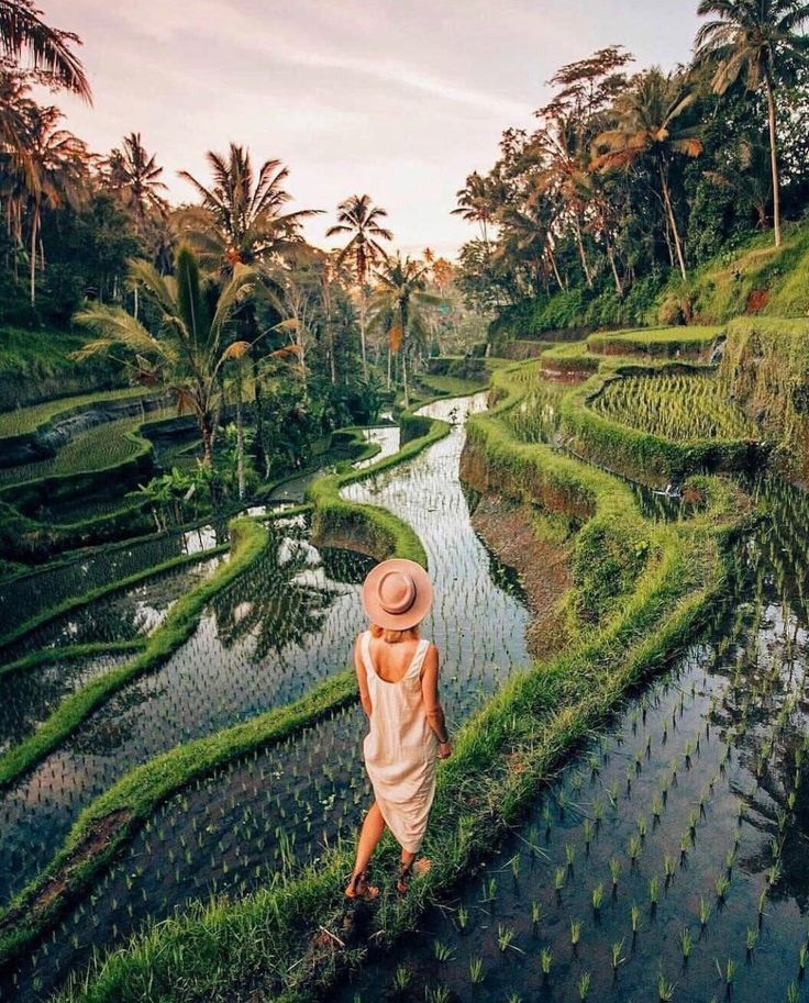Fun & lifestyle tour